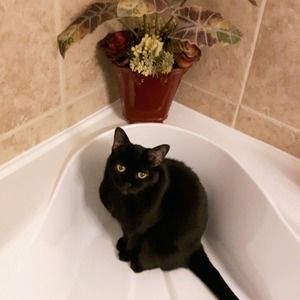 Meet your Posher, Dianne